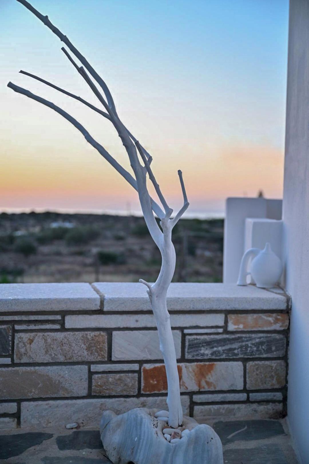 אקרוטירי 'Sophie'S Villa' מראה חיצוני תמונה